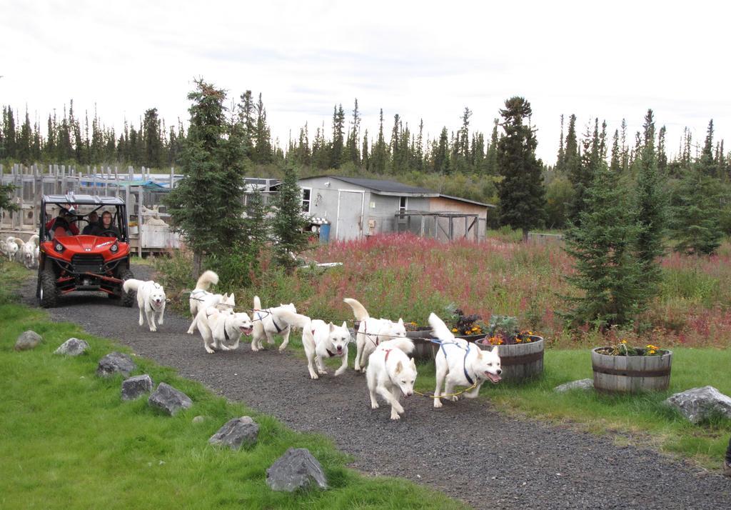 Arctic Chalet Resort Inuvik Exterior foto